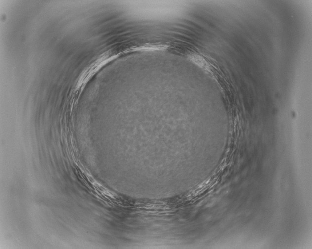 X0000059250337200510141134