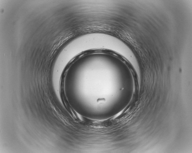 X0000059250360200510141134