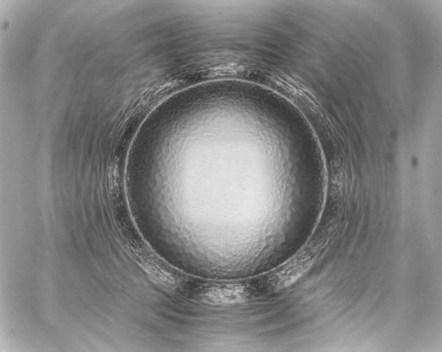 X0000059250369200510141134