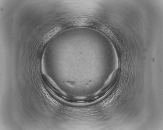 X0000059250393200510141133