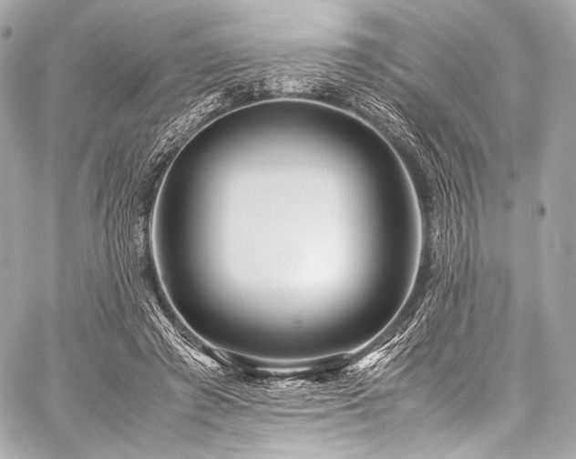 X0000059250401200510141133