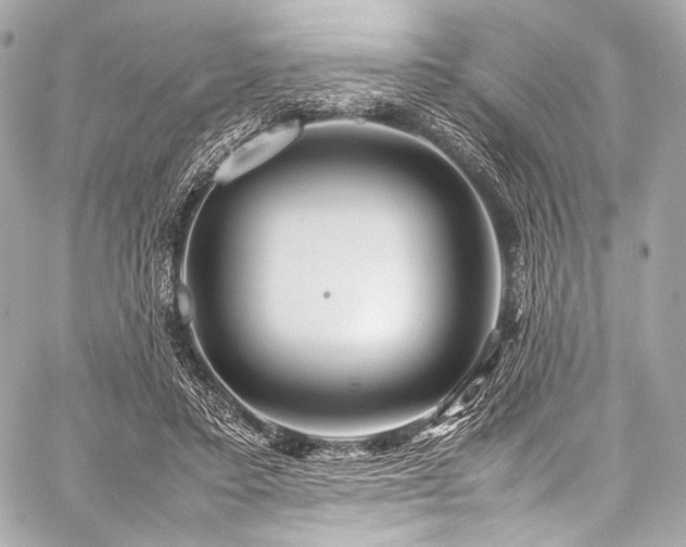 X0000059250403200510141133