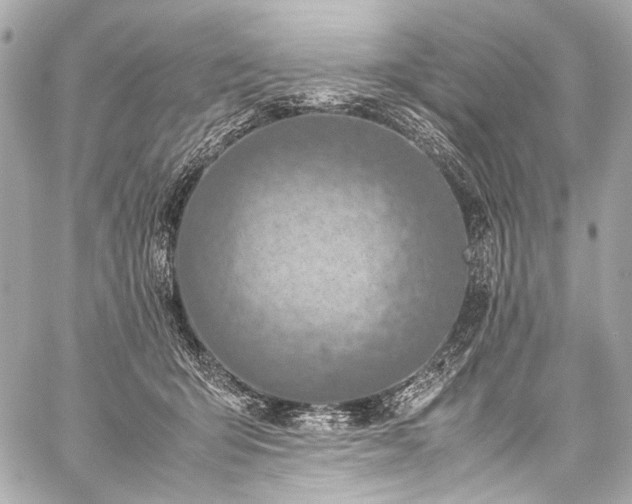 X0000059250415200510141133