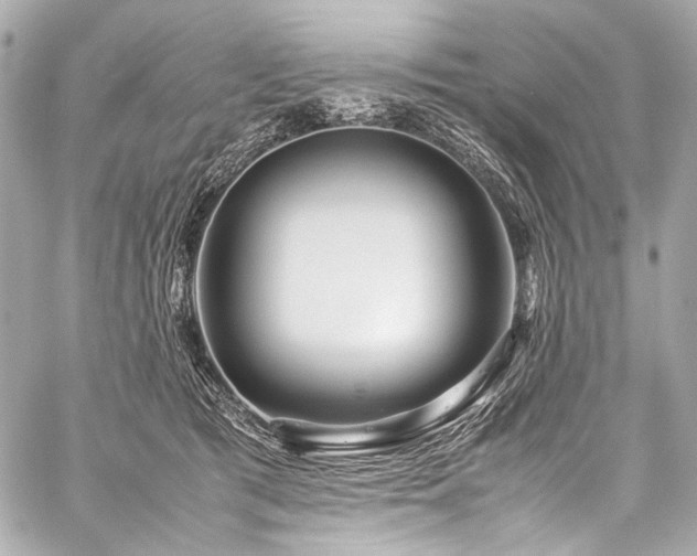 X0000059250417200510141133
