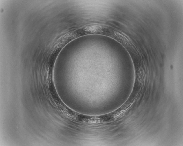 X0000059250420200510141133