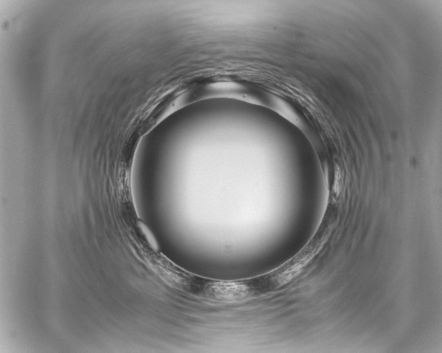 X0000059250429200510141133