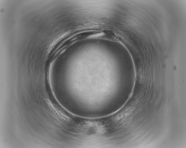 X0000059250442200510141132