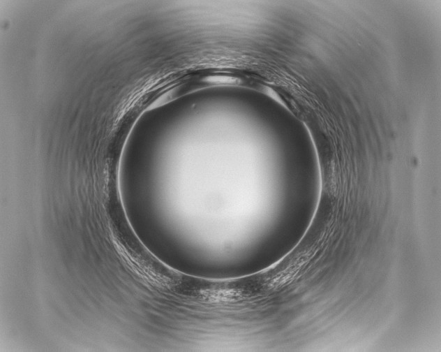 X0000059250448200510141132