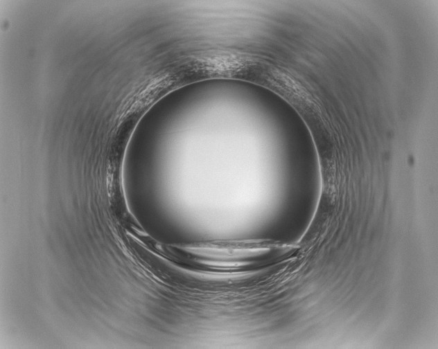 X0000059250456200510141132