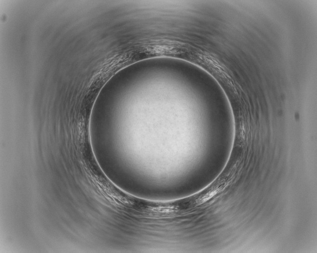 X0000059250461200510141132
