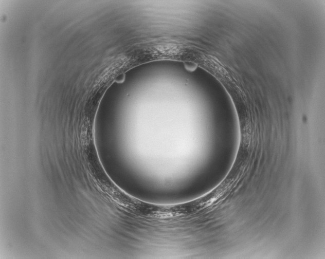 X0000059250464200510141133