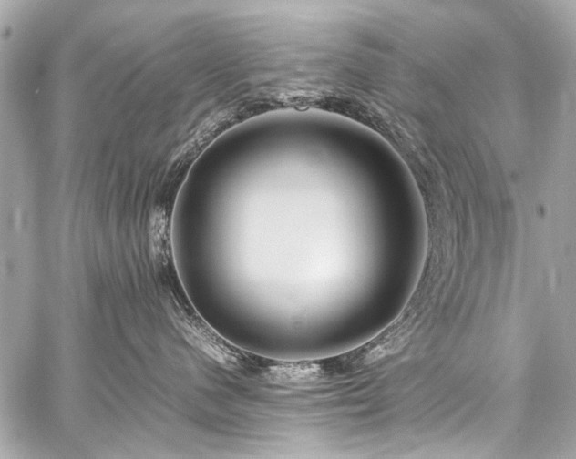 X0000059250480200510141133