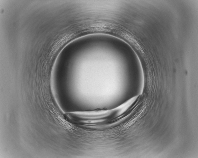 X0000059250481200510141132