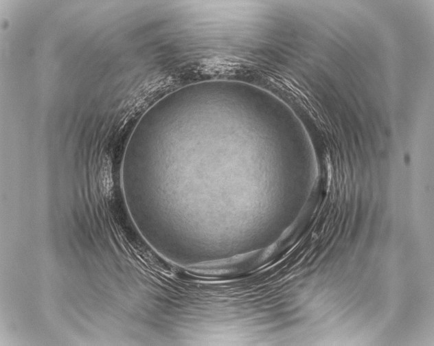 X0000059250508200510141132