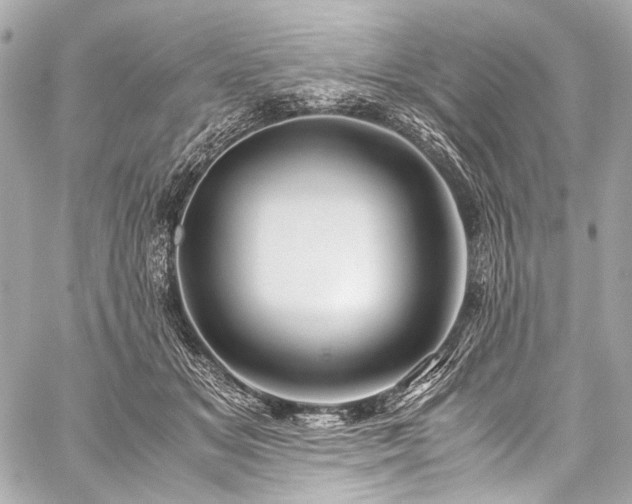 X0000059250509200510141132