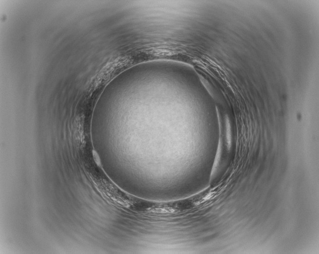X0000059250512200510141131