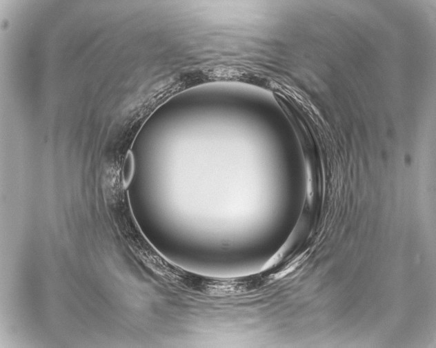 X0000059250521200510141131