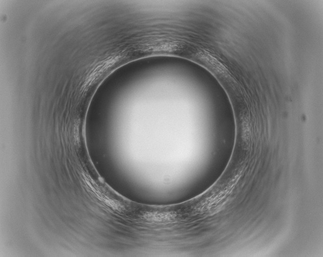 X0000059250537200510141131
