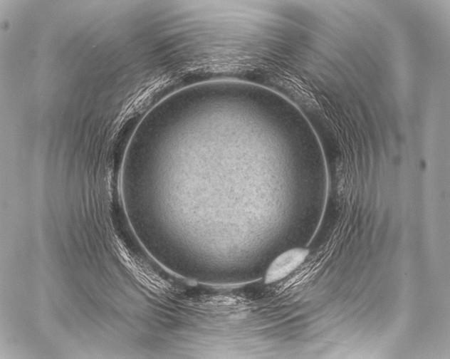 X0000059250542200510141131