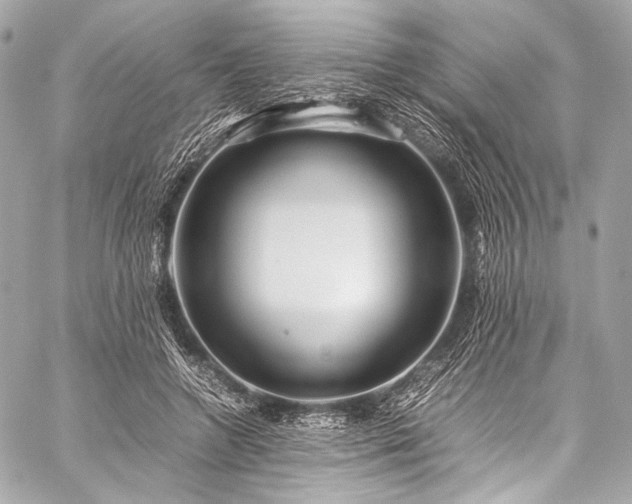 X0000059250546200510141131