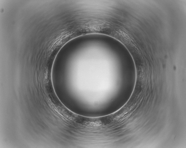 X0000059250548200510141131