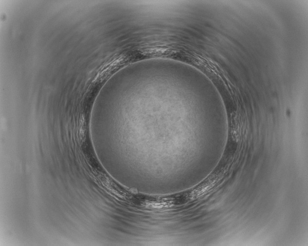 X0000059250563200510141131