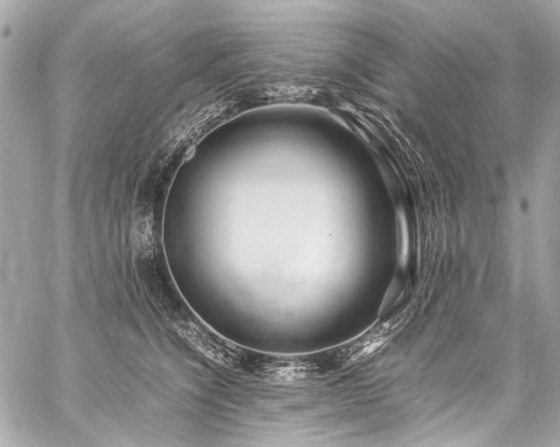X0000059250564200510141131