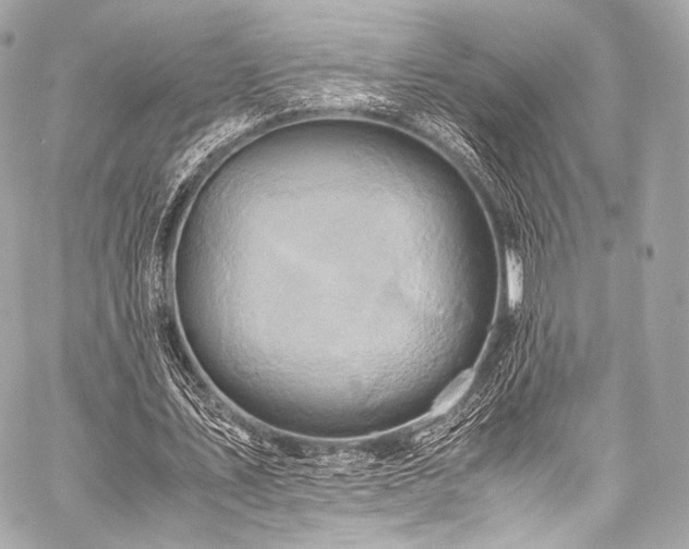 X0000059250579200510141130