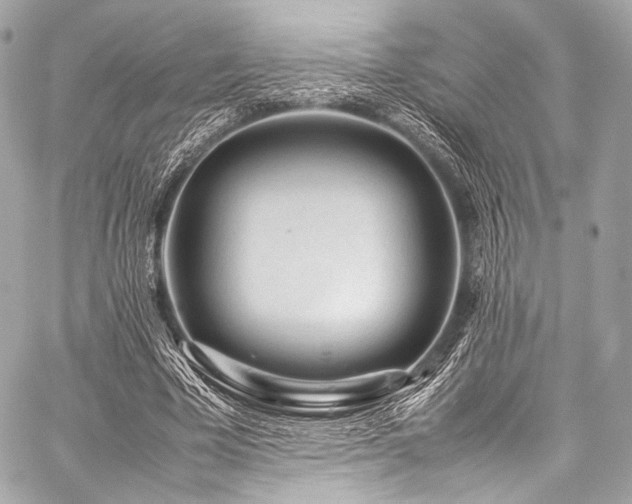 X0000059250585200510141130