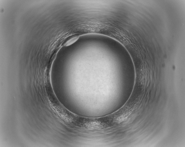 X0000059250594200510141130