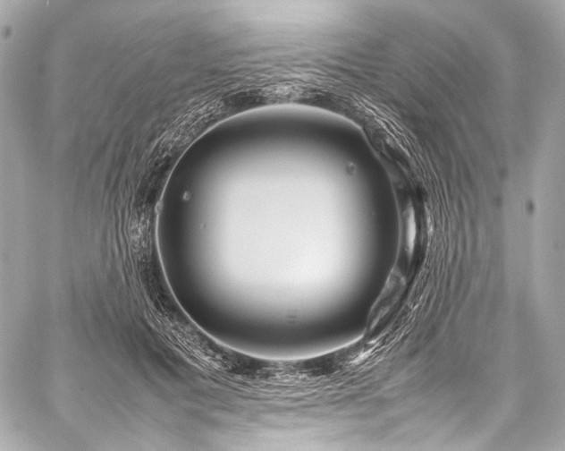 X0000059250601200510141130