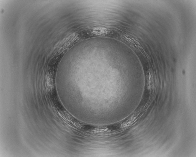 X0000059250606200510141130
