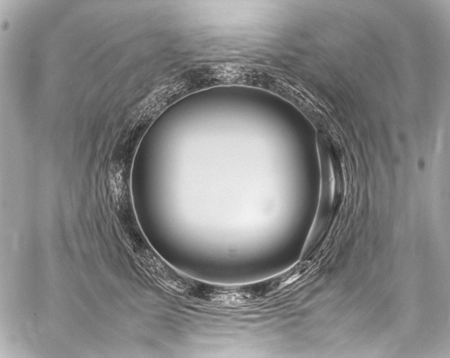 X0000059250611200510141130