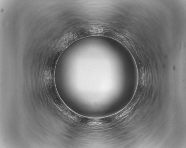X0000059250614200510141130