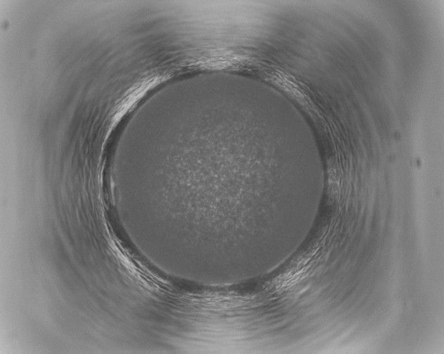 X0000059250626200510141129