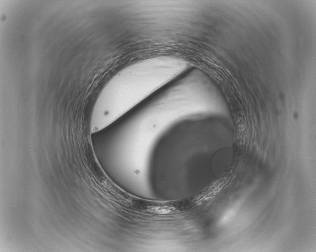 X0000059250654200510141129