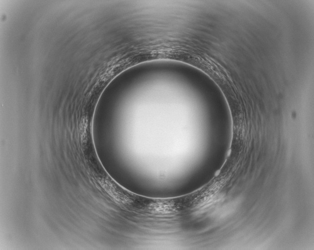 X0000059250660200510141129