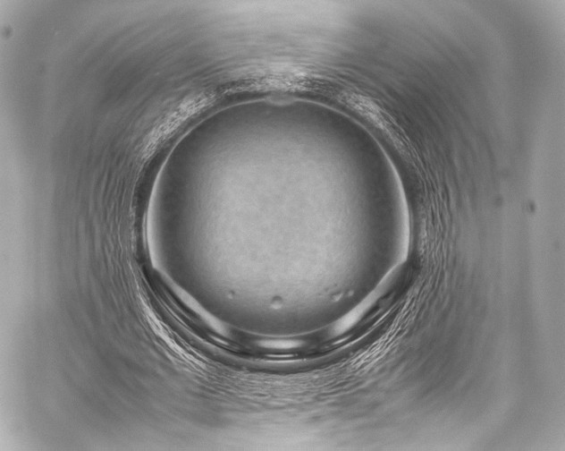 X0000059250677200510141129
