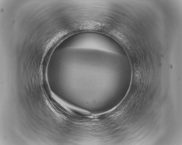 X0000059250678200510141129
