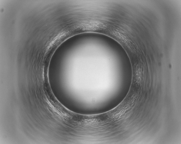 X0000059250686200510141129