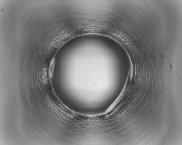 X0000059250696200510141128