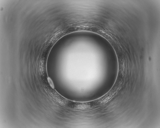 X0000059250708200510141128