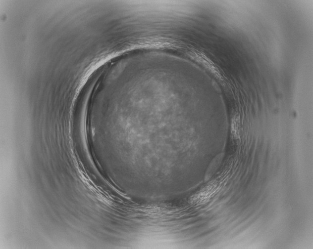 X0000059250724200510141127