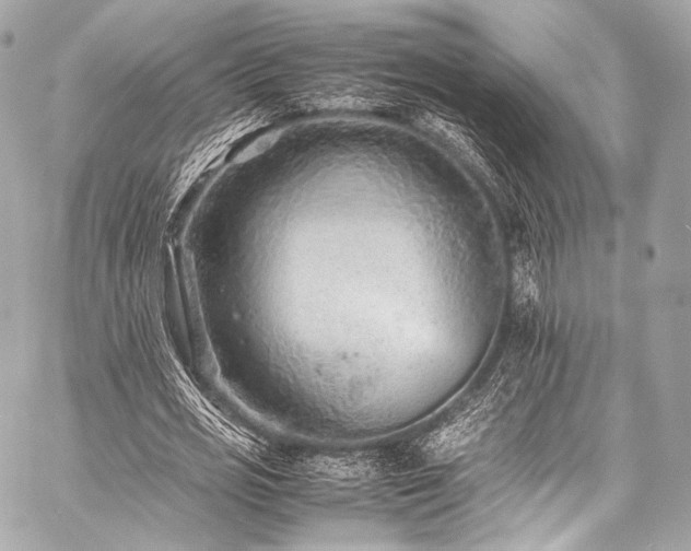 X0000059250725200510141127
