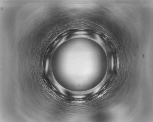 X0000059250750200510141128
