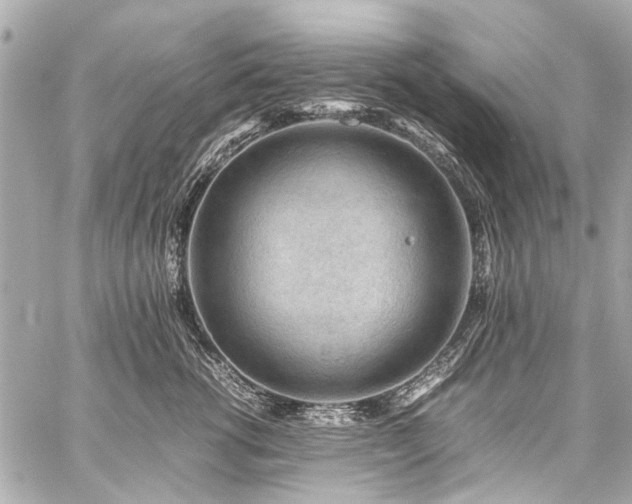 X0000059250762200510141128