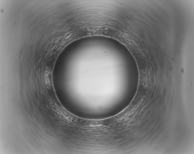 X0000059250770200510141127