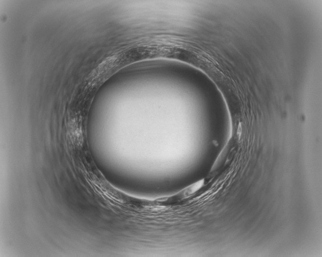 X0000059250771200510141127