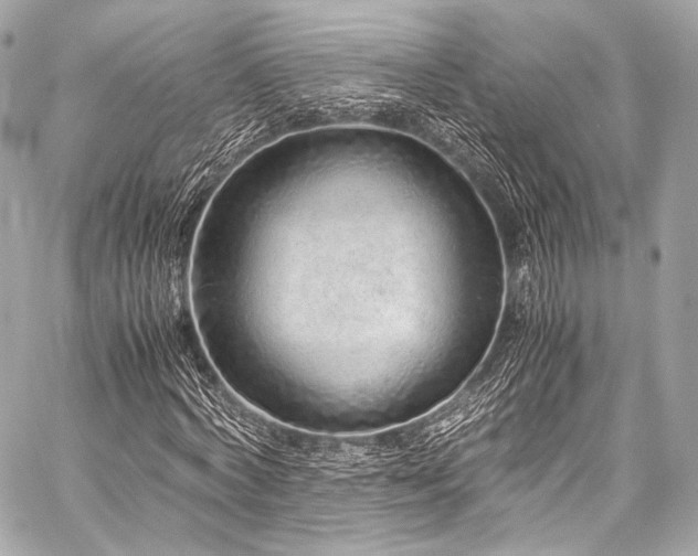 X0000059250772200510141127