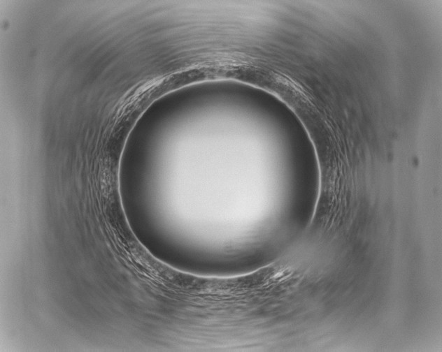 X0000059250773200510141127